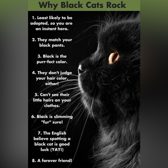 - $3 BLACK CAT STUD EARRINGS. STAINLESS STEEL. NEW. $3 if bundled - Picture 7 of 16